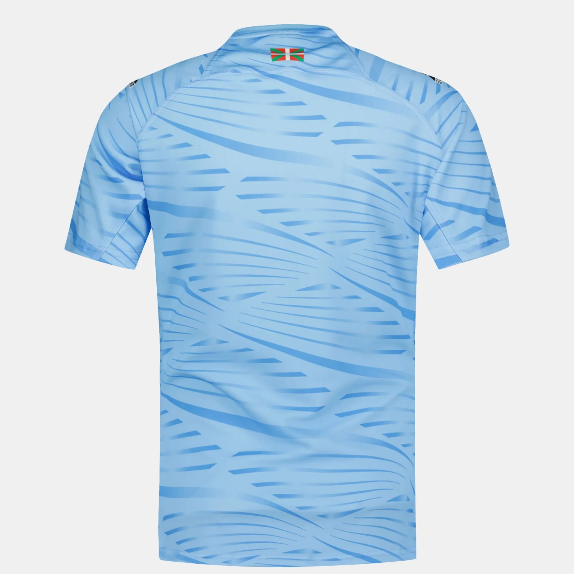 Le Coq Sportif Aviron Bayonnais - Traje de entrenamiento Camiseta Aviron Bayonnais Hombre-Hombre Rugby | Rugby