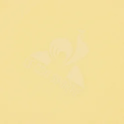 Le Coq Sportif Camiseta de hombre-Hombre Camisetas Y Tops