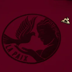 Le Coq Sportif La Paix Sudadera con capucha para hombre-Hombre Sudaderas Con Capucha | Sudaderas