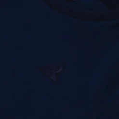 Le Coq Sportif Ton sur ton Sudadera Cuello Redondo Hombre Ton sur ton - Azul-Hombre Sudaderas